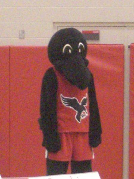 Basket ball game