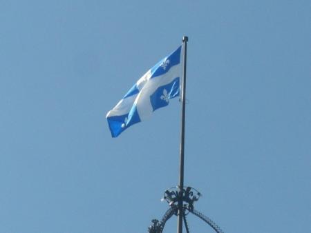 Whales trip in Quebec