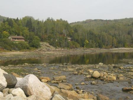 Whales trip in Quebec