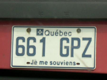 Whales trip in Quebec