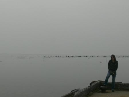 Whales trip in Quebec