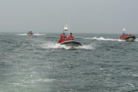 Whales trip in Quebec