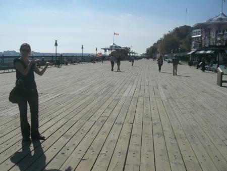 Whales trip in Quebec